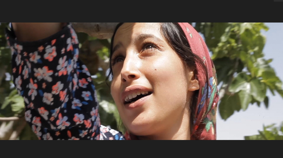 في أيام فلسطين السينمائية.. مواجهة قضايا النساء بجرأة