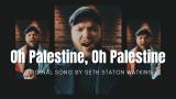 الأغنية... كيف خاطبت الوجدان العالمي تضامنًا مع فلسطين؟