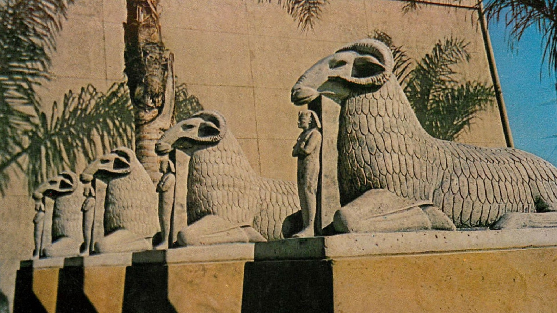 أمام مدخل المتحف المصري في سان خوسيه